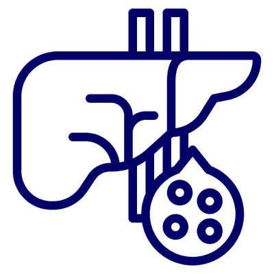 Apoio ao Metabolismo