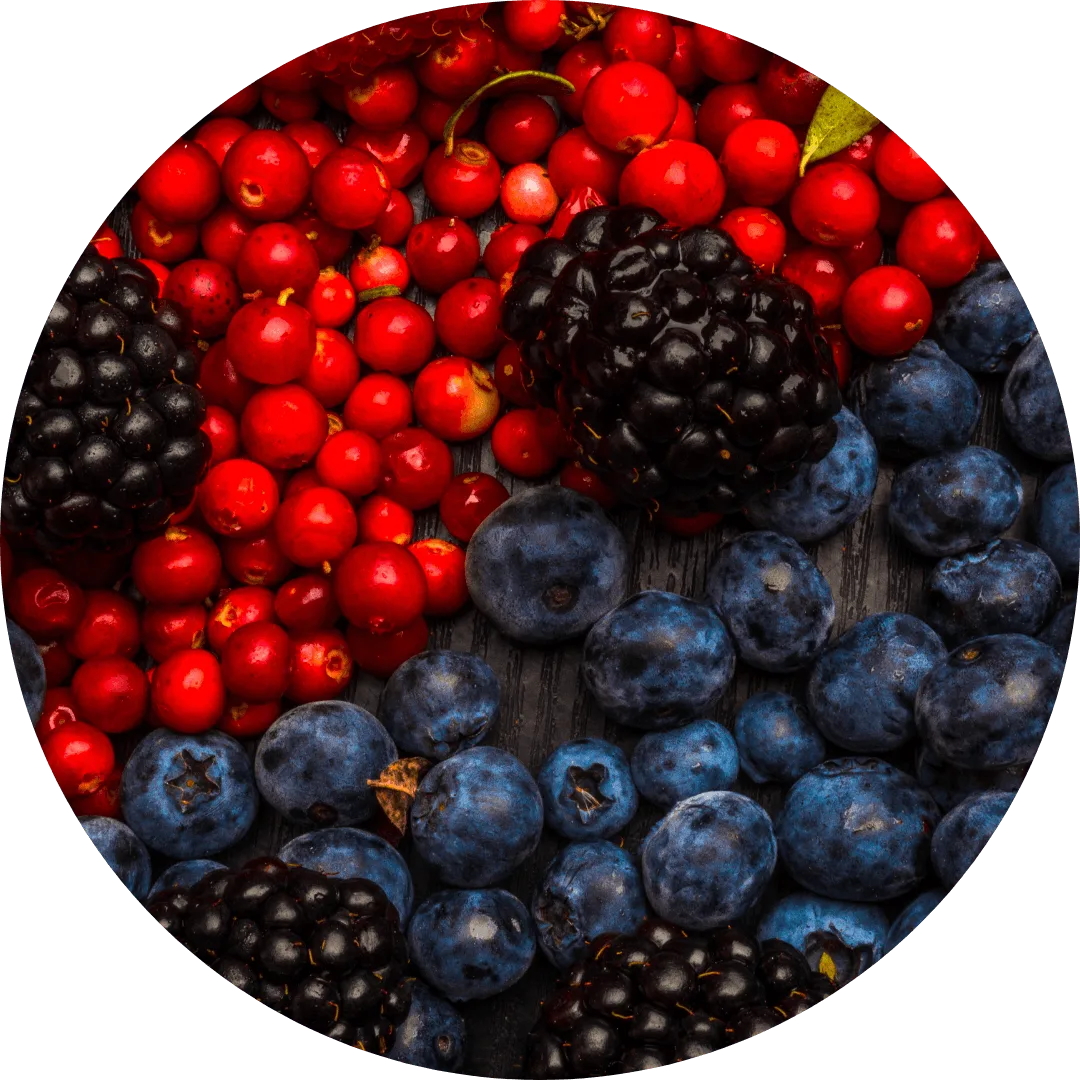 Complexo de Frutas Vermelhas