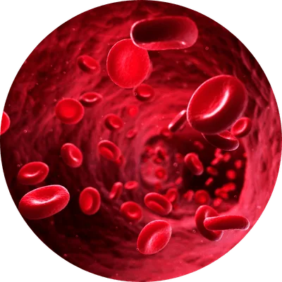 Passo 2 — Mantenha o uso contínuo